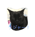 ジジたん（個別スタンプ：2）