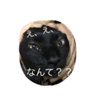 ジジたん（個別スタンプ：7）