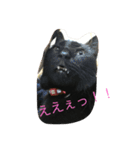 ジジたん（個別スタンプ：14）