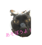 ジジたん（個別スタンプ：16）