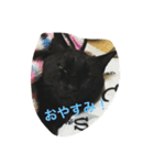 ジジたん（個別スタンプ：21）