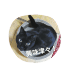 ジジたん（個別スタンプ：25）