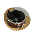 ジジたん（個別スタンプ：27）