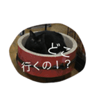 ジジたん（個別スタンプ：28）