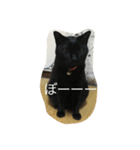 ジジたん（個別スタンプ：31）
