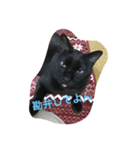 ジジたん（個別スタンプ：32）