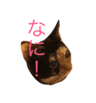 もんちゃん01（個別スタンプ：2）