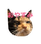 もんちゃん01（個別スタンプ：4）