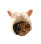 もんちゃん01（個別スタンプ：6）