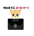 こねこ先輩（個別スタンプ：3）