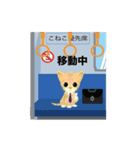 こねこ先輩（個別スタンプ：4）