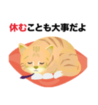 こねこ先輩（個別スタンプ：6）