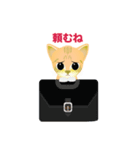 こねこ先輩（個別スタンプ：10）