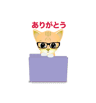 こねこ先輩（個別スタンプ：13）