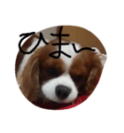 はち8（個別スタンプ：3）