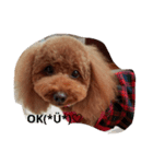 はなぷー（個別スタンプ：3）