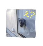 可愛い水野クッキー（個別スタンプ：1）