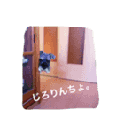 可愛い水野クッキー（個別スタンプ：2）
