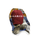可愛い水野クッキー（個別スタンプ：3）