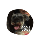 可愛い水野クッキー（個別スタンプ：5）