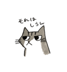 みむら家のさんちゃん。（個別スタンプ：4）