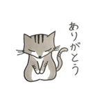 みむら家のさんちゃん。（個別スタンプ：12）