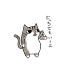 みむら家のさんちゃん。（個別スタンプ：13）