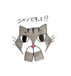 みむら家のさんちゃん。（個別スタンプ：19）