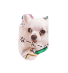 みー君（個別スタンプ：2）
