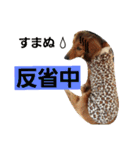 アリケリンダ（個別スタンプ：14）