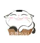NoriNeko（個別スタンプ：3）