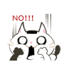 NoriNeko（個別スタンプ：5）