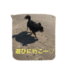 レオの夏休み（個別スタンプ：5）