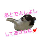 癒し言葉   【犬編】（個別スタンプ：2）