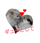 癒し言葉   【犬編】（個別スタンプ：38）