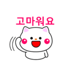 白ネコからのメッセージ(韓国語)（個別スタンプ：1）