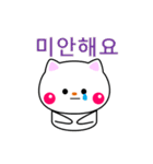 白ネコからのメッセージ(韓国語)（個別スタンプ：2）