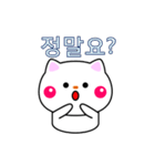 白ネコからのメッセージ(韓国語)（個別スタンプ：5）