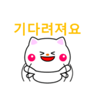 白ネコからのメッセージ(韓国語)（個別スタンプ：6）