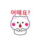 白ネコからのメッセージ(韓国語)（個別スタンプ：8）
