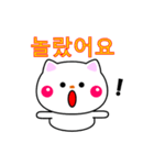 白ネコからのメッセージ(韓国語)（個別スタンプ：9）