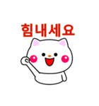 白ネコからのメッセージ(韓国語)（個別スタンプ：10）