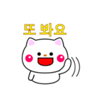 白ネコからのメッセージ(韓国語)（個別スタンプ：15）