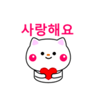 白ネコからのメッセージ(韓国語)（個別スタンプ：16）
