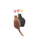紅葉と雨の猫スタンプ（個別スタンプ：16）