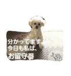 ちーまごず（個別スタンプ：9）