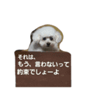 ちーまごず（個別スタンプ：16）