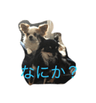 いしまつくん（個別スタンプ：1）