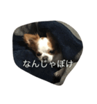いしまつくん（個別スタンプ：4）