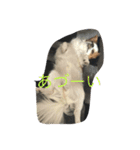 いしまつくん（個別スタンプ：7）
